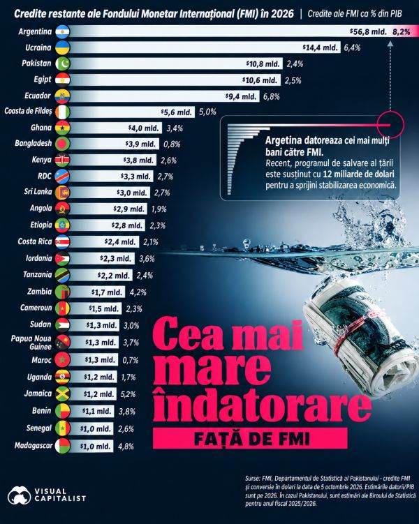 Argentina and Ukraine - Countries with the Largest Debts to the IMF